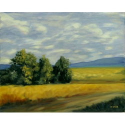 Un Jour d'été