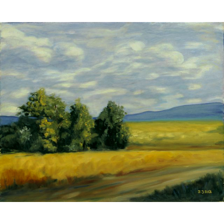 Un Jour d'été