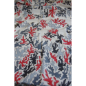 Corail